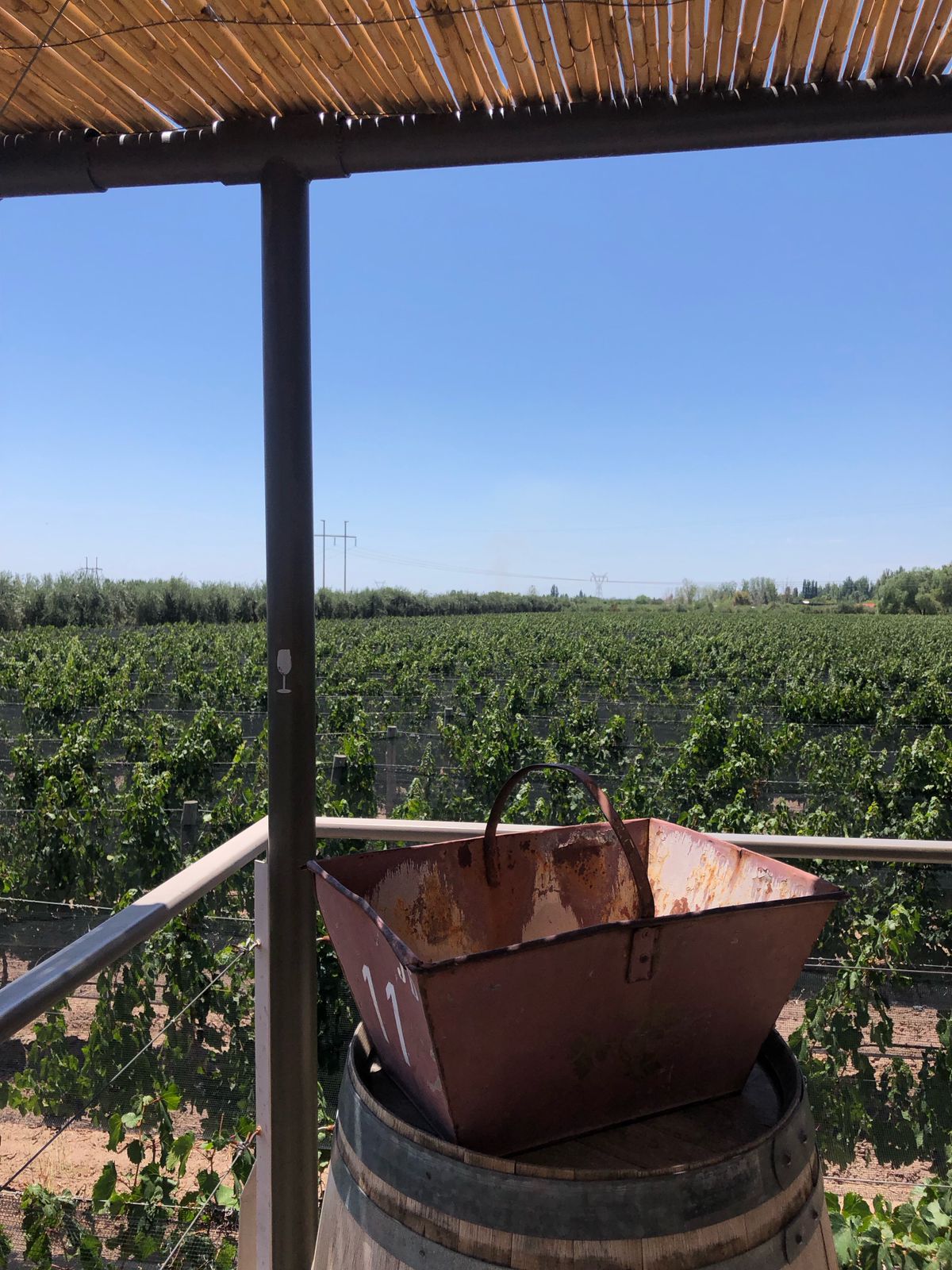 WhatsApp Image 2023-07-26 at 19.02.41